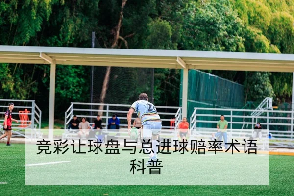奥运会项目积分与资格赛规则快速查询